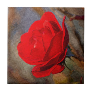Red Rose Tegeltje