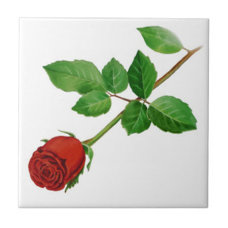Red Rose Tile Tegeltje