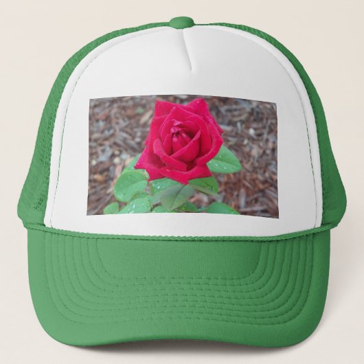 Red Rose Trucker Pet (Voorkant)