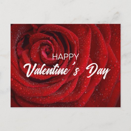 Red Rose, Valentijn Briefkaart (Voorkant)