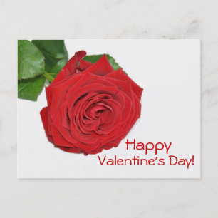 Red Rose Valentijnsdag Briefkaart