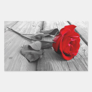 Red Rose vertrok op het dok, ik hou nog steeds van Rechthoekige Sticker