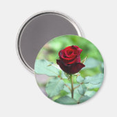 Red Rosebud Magnet (Recto/Verso)