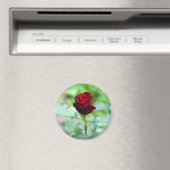 Red Rosebud Magnet (In Situ (Lave-vaisselle))