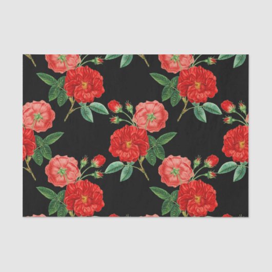 Red Roses, Black Background, Tissuepapier (Voorkant)