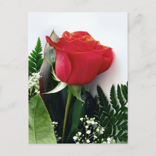 Red roses briefkaart (Voorkant)