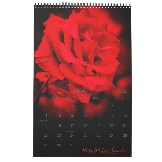 Red Roses Calendrier Meilleure édition カ レ ン ダ (Mar 2026)