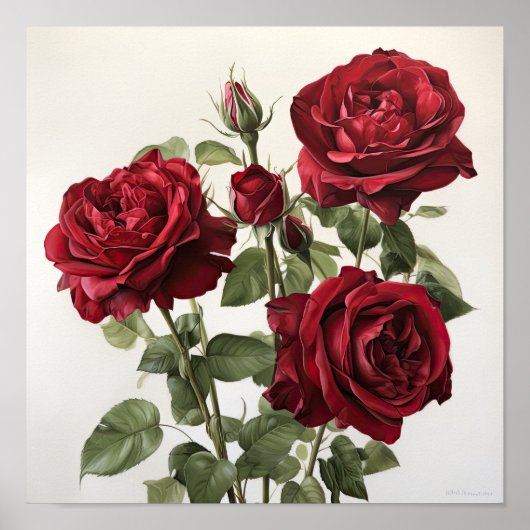Red Roses Flower Art Print Poster (Voorkant)