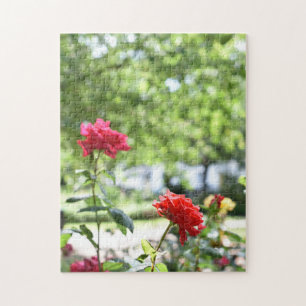 Red Roses Flower Natuur Legpuzzel