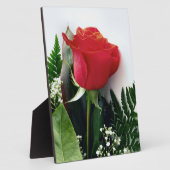 Red roses fotoplaat (Zijkant)