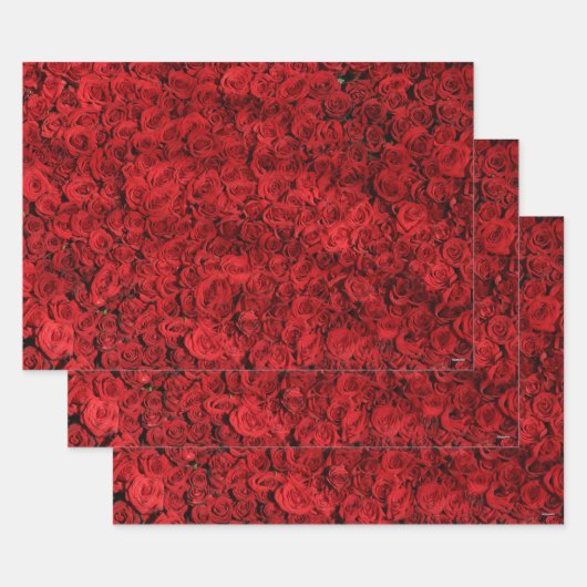 Red Roses Gift Wrap HAMbyWG Inpakpapier Vel (Set)