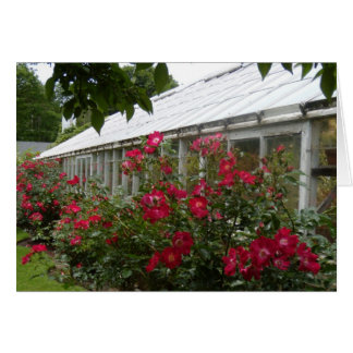Red Roses Greenhouse
