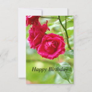 Red Roses Happy Birthday Card Kaart
