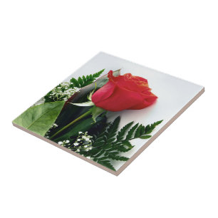 Red roses tegeltje