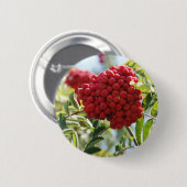 Red Rowan Berries Ronde Button 5,7 Cm (Voorkant /achterkant)
