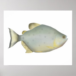 Red Ruby Piranha Poster