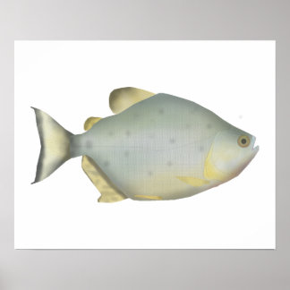 Red Ruby Piranha Poster