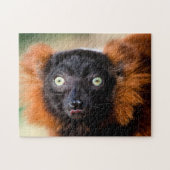 Red Ruffed Lemur, Jigzaag Puzzle Legpuzzel (Horizontaal)