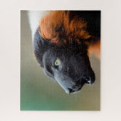 Red Ruffed Lemur. Legpuzzel (Verticaal)