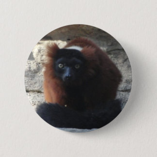 Red Ruffed Lemur Ronde Button 5,7 Cm