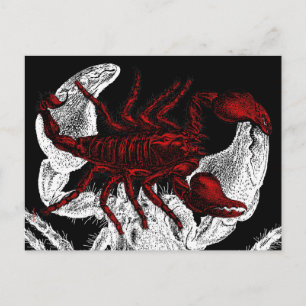 Red Scorpion - Briefkaart