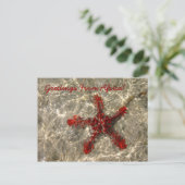 Red Sea Star - Carte postale (Debout devant)