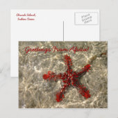 Red Sea Star - Carte postale (Devant / Derrière)