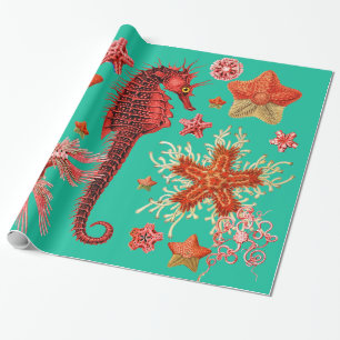 RED SEAHORSE EN SEASTART IN AQUA BLUE Zee Life Cadeaupapier