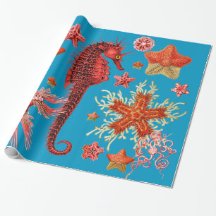 RED SEAHORSE EN SEASTART IN AQUA BLUE Zee Life Cadeaupapier