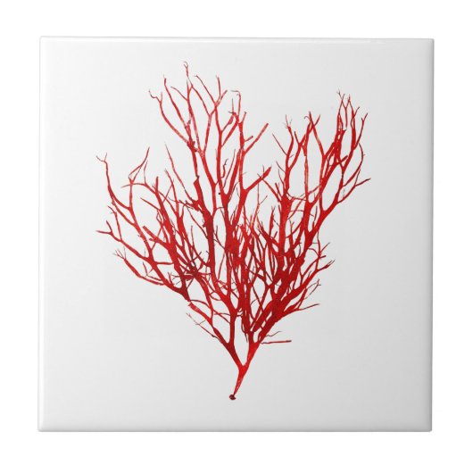 Red Seaweed Art No.10 Strand thema Decor Tegeltje (Voorkant)