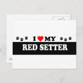 RED SETTER BRIEFKAART (Voorkant / Achterkant)