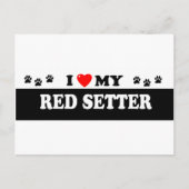 RED SETTER BRIEFKAART (Voorkant)