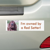 Red Setter Bumpersticker (Op auto)