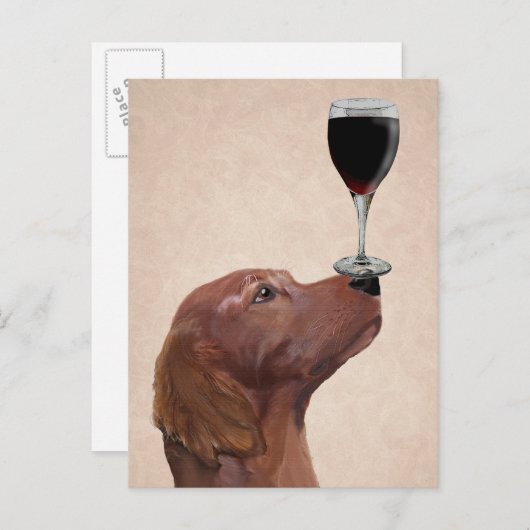 Red Setter Dog Au Vin 2 Briefkaart (Voorkant / Achterkant)