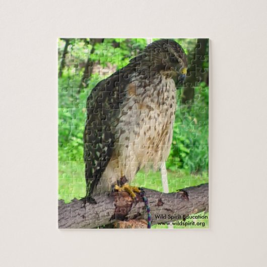 Red Shoulder Hawk puzzel Legpuzzel (Verticaal)