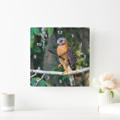 Red-Shouldered Hawk on a Limb Clock Vierkante Klok (Huis)