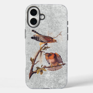 Red Shoulked Hawk Audubon Bird of Prey iPhone 16 Plus Hoesje
