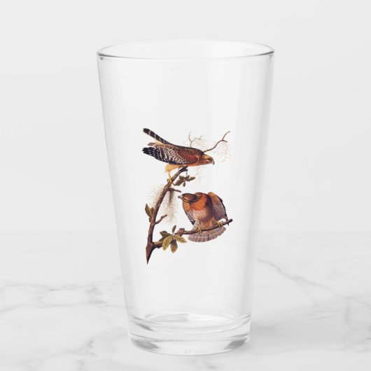 Red Shoulked Hawk Audubon Bird of Prey Glas (Voorkant)
