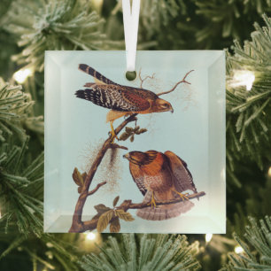 Red Shoulked Hawk Audubon Bird of Prey Glas Ornament