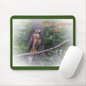 Red Shoulked Hawk Muismat (Met muis)