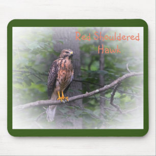 Red Shoulked Hawk Muismat