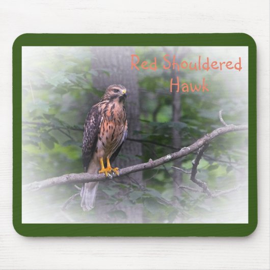 Red Shoulked Hawk Muismat (Voorkant)