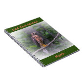 Red Shoulked Hawk Notitieboek (Rechterzijde)