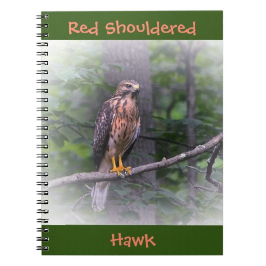 Red Shoulked Hawk Notitieboek (Voorkant)