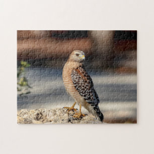 Red Shoulked Hawk op een rots Legpuzzel