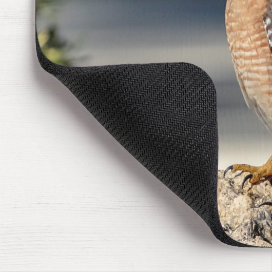 Red Shoulked Hawk op een rots Muismat (Hoek)