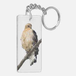 Red Shoulked Hawk Sleutelhanger
