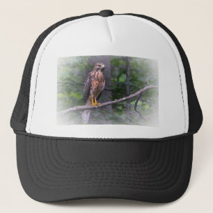 Red Shoulked Hawk Trucker Pet