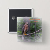 Red Shoulked Hawk Vierkante Button 5,1 Cm (Voorkant /achterkant)