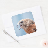 Red Shoulked Hawk Vierkante Sticker (Envelop)